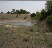 Fishing Pond