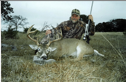Whitetail