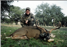 Whitetail